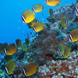 ダンヌ浜1 ダンヌ浜1