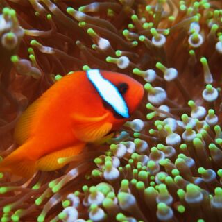 ダンヌ浜2 ダンヌ浜1