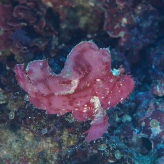 久部良バリ3 久部良バリ3