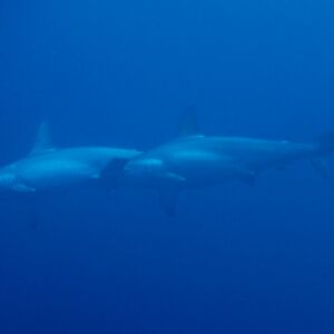 2017/1/5_3 2017/1/5_3