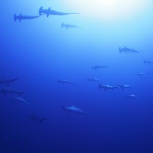 2017/1/5-4 2017/1/5-4