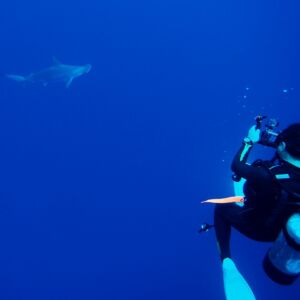 2017/1/6_1 2017/1/6_1