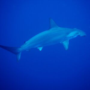 2017/1/6_2 2017/1/6_2