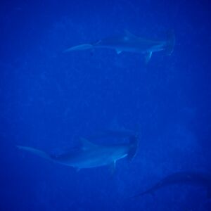 2017/1/6_4 2017/1/6_4