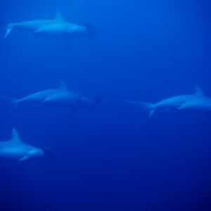 2017/1/6_3 2017/1/6_3