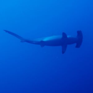 2017/1/6_5 2017/1/6_5