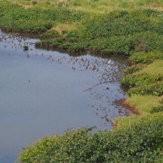 久部良ミトゥ2 久部良ミトゥ2