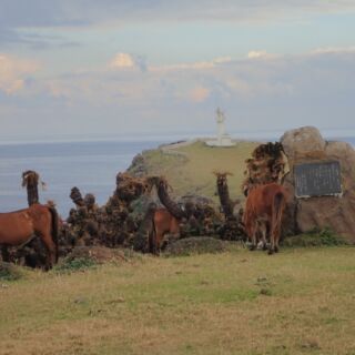 与那国馬と東崎灯台 与那国馬と東崎灯台