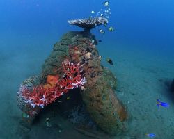 ギナアマンのタイヤ漁礁