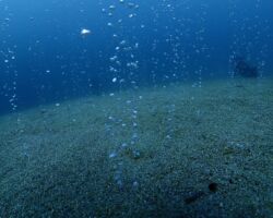 海底温泉バブル 海底温泉バブル