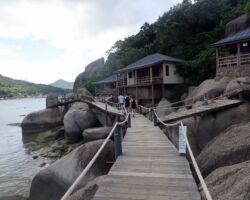 島の周囲の散策道 島の周囲の散策道