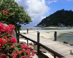 花とナンユアン島 花とナンユアン島