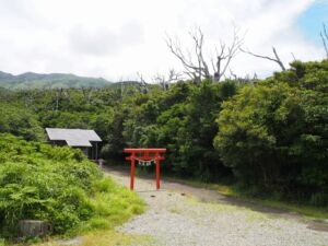 椎取神社 椎取神社
