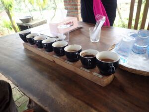 試飲のコーヒーと紅茶