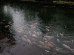 Pura Tirta Empul(ティルタ ウンプル)寺院 Pura Tirta Empul(ティルタ ウンプル)寺院