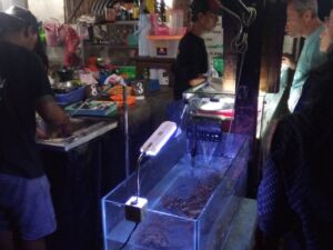 Warung Amphibia Warung Amphibia