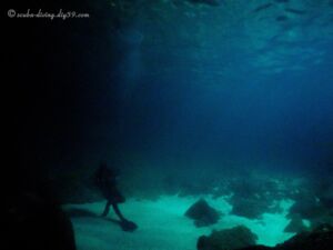 @ぺニダ島 クリスタルベイ 2022/11/2
この上に大量のコウモリがいたのですが、、画像紛失 クリスタルベイの洞窟